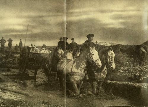 A black-and-white photograph of four horses pulling a munitions wagon along a muddy road.