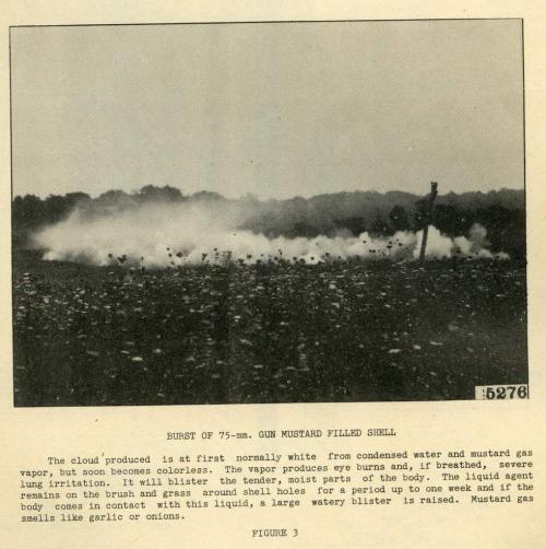 Une photographie en noir et blanc d’un paysage dont le ciel est parsemé d’explosions de gaz.