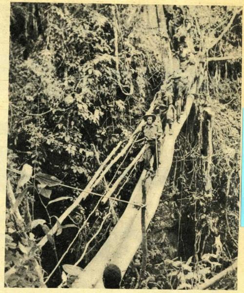 A black-and-white photograph of a group of soldiers crossing a bridge in a jungle.